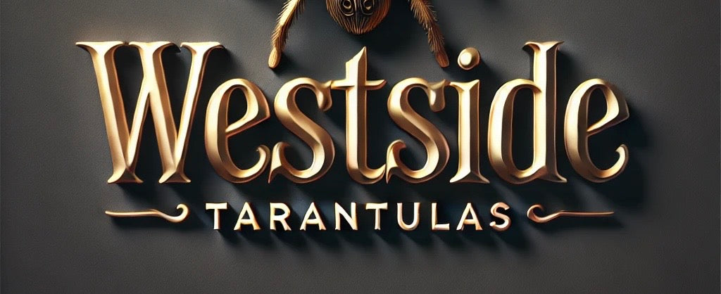 westsidetarantulas.com