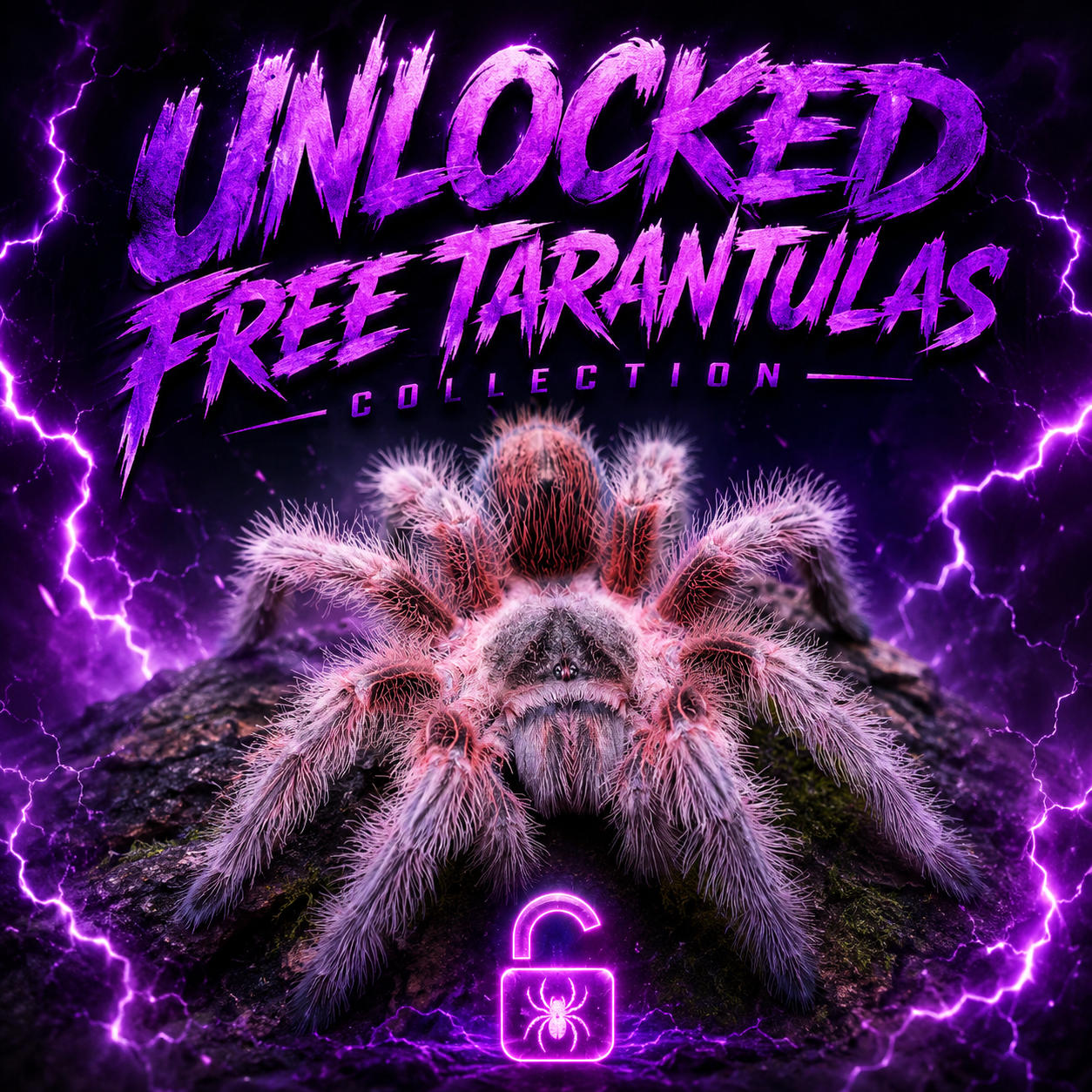 Unlock Free Tarantulas 🕷️🎁