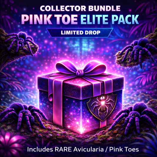 Pink Toe Elite Pack – Limited Collector Drop