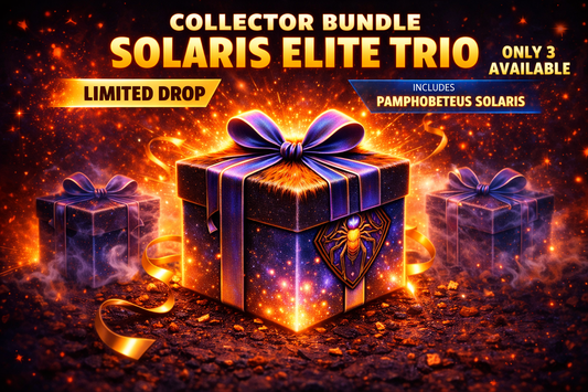 Pamphobeteus Solaris 3+ inch FEMALE + Elite Trio - VERY LIMITED BUNDLE